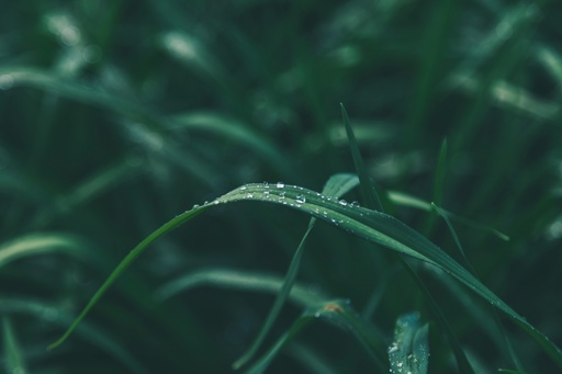 Pexels Peterfazekas 1089451